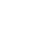 icon1